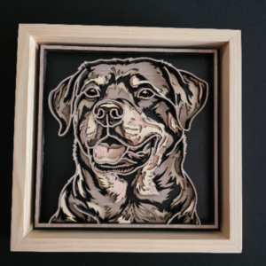 Zenith View Dog 3D Wall Art 13.5 x 13.5 Frame