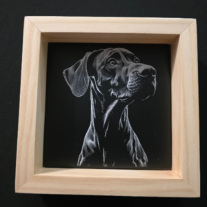 Nimbus Flow Dog 3D Wall Art 13.5 x 13.5 Frame