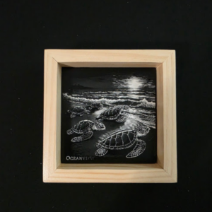 Turtle themed 6x6 engraved ceramic tile framed